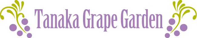 Tanaka Grape Garden