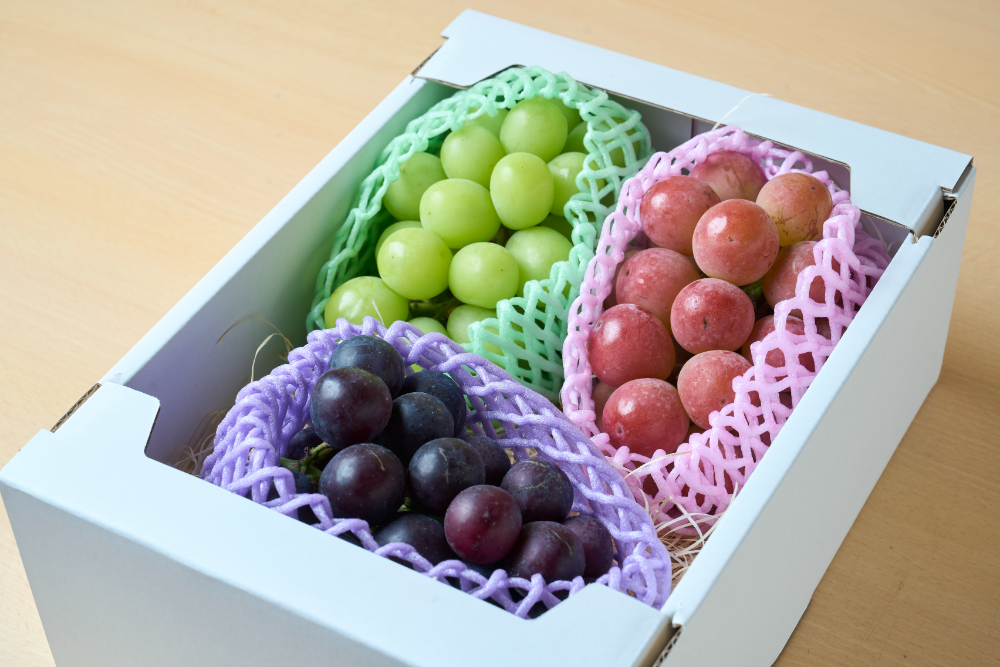 【送料無料】G2　厳選朝採りぶどう（約1.3kg～1.6kg、2房）