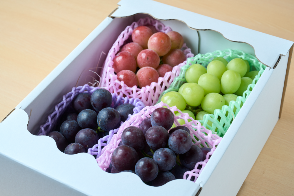 【送料無料】G3　厳選朝採りぶどう（約1.7kg～2.1kg、3房）